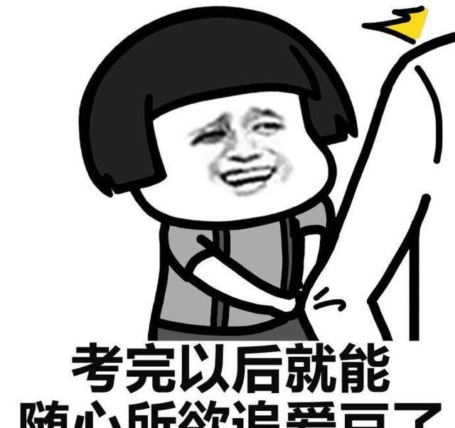 明星高考成绩