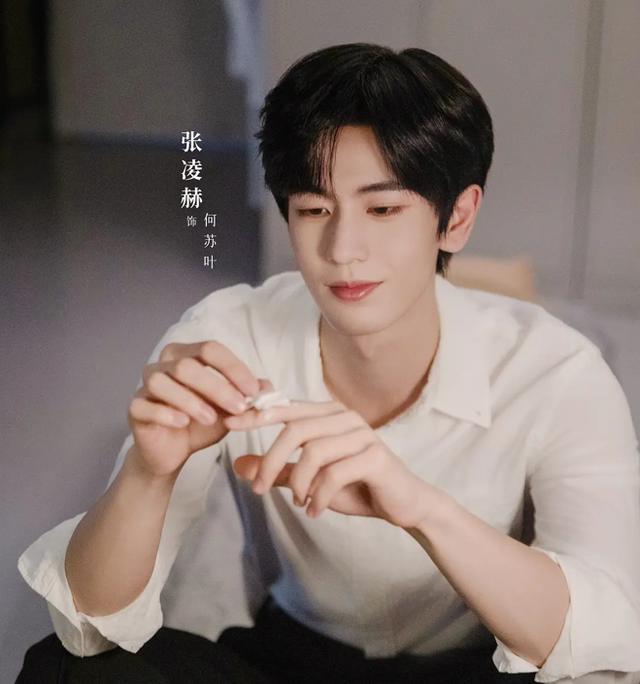 张凌赫现代装角色形象