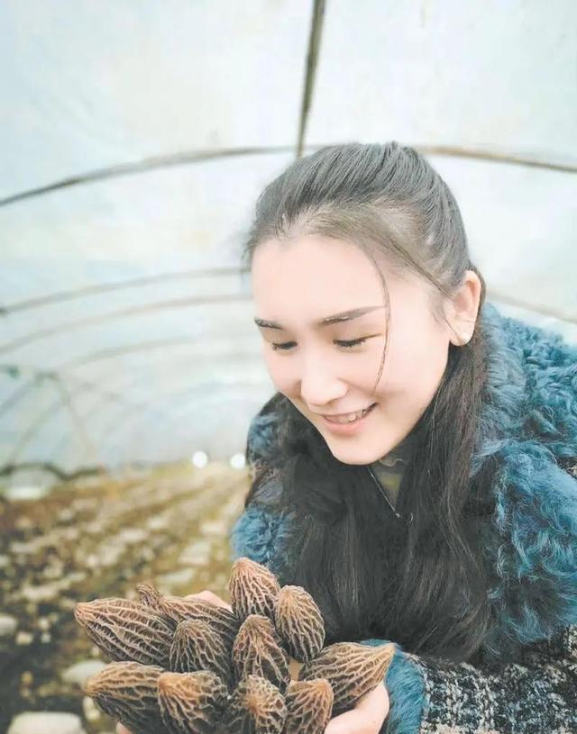 张艺凡展示羊肚菌
